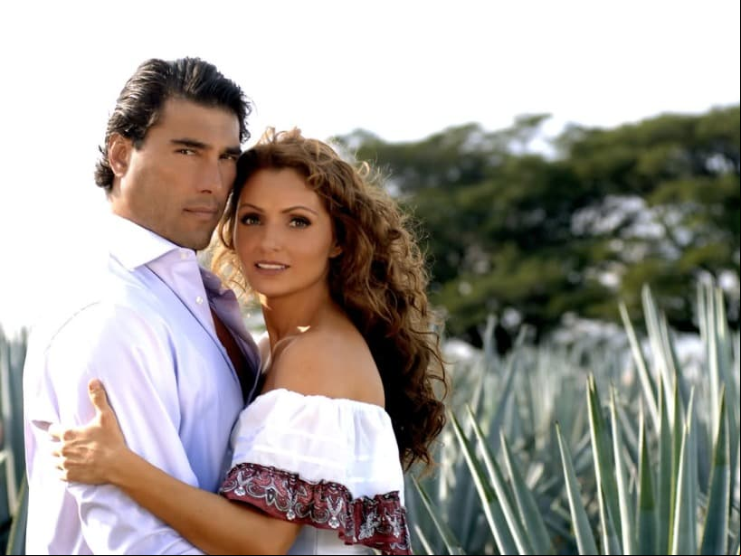 Su última participación fue como protagonista en Destilando amor en 2007, donde dio vida a la "Gaviota", personaje que le dio su sobrenombre actual.