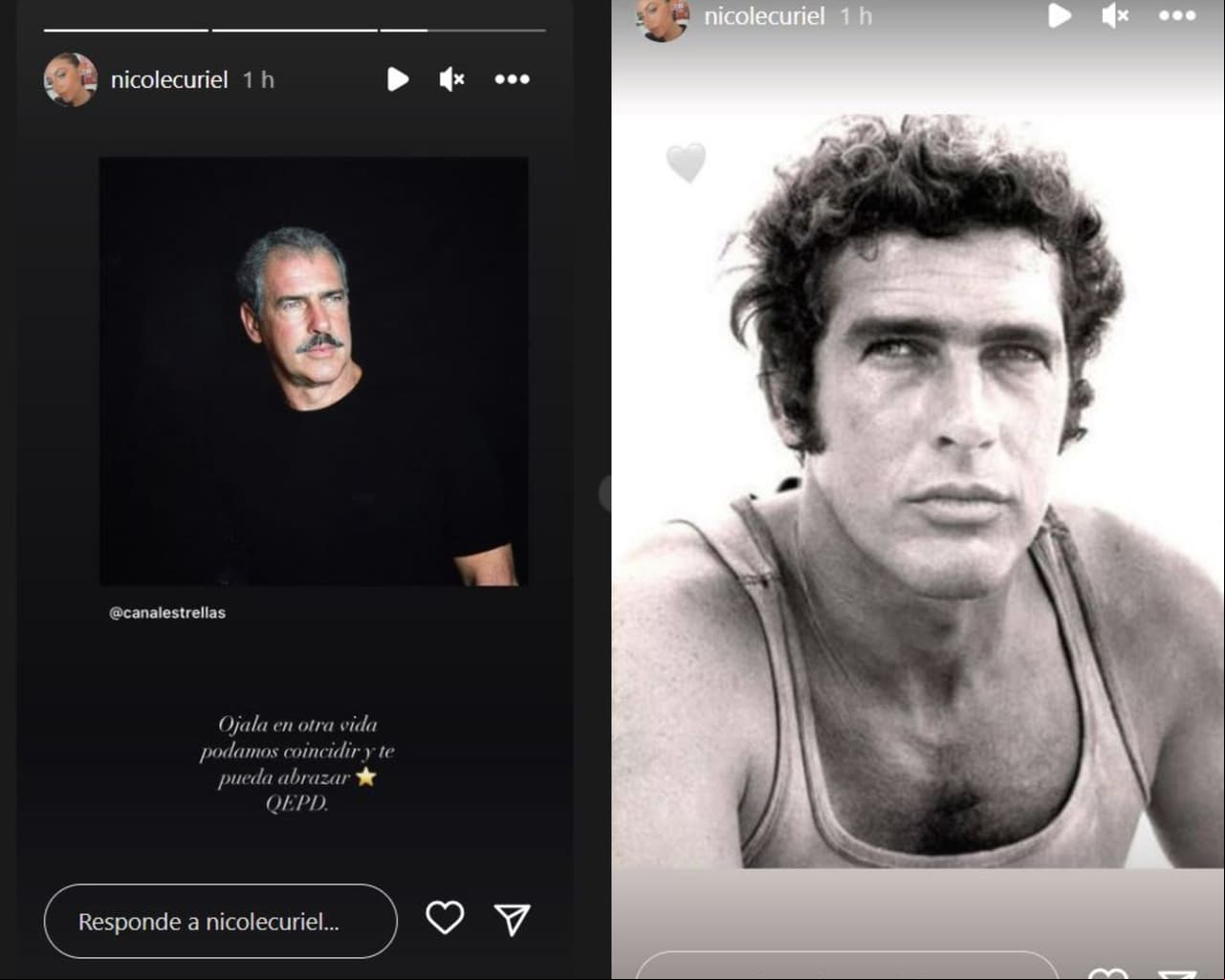 Nicole Curiel manda mensaje a Andrés García, su supuesto abuelo al que no pudo conocer.