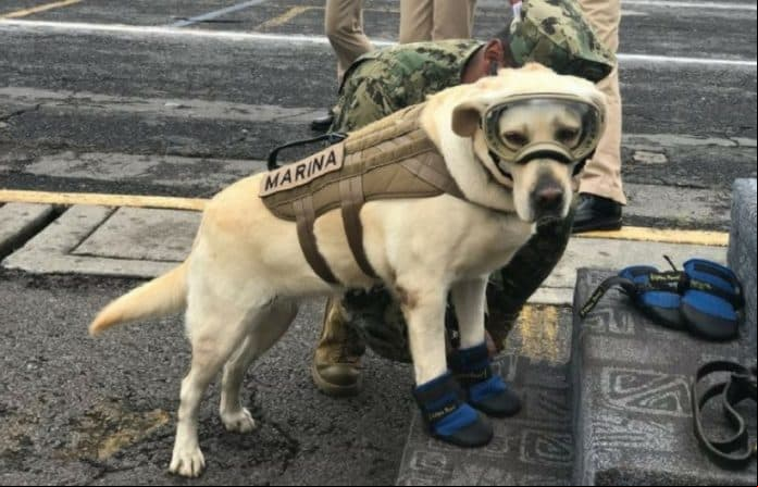 Frida se conviritó en una heroína nacional