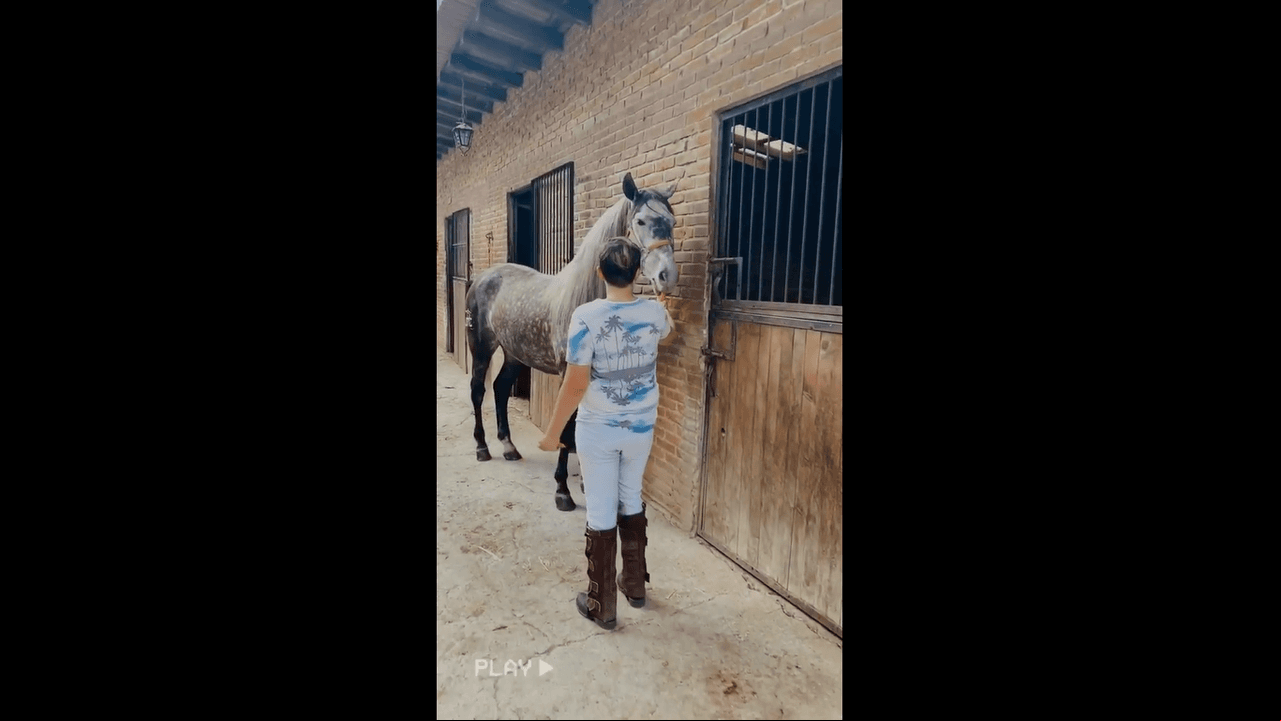 Padre e hijo visitaron una granja en la que convivieron muy de cerca con caballos, a quienes el primogénito del actor no dudó en darles de comer.