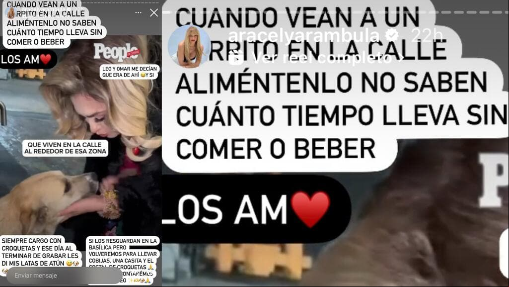 Aracely Arámbula hizo un llamado para no dejar desamparados a los perros que viven en la calle o están sin hogar fijo.