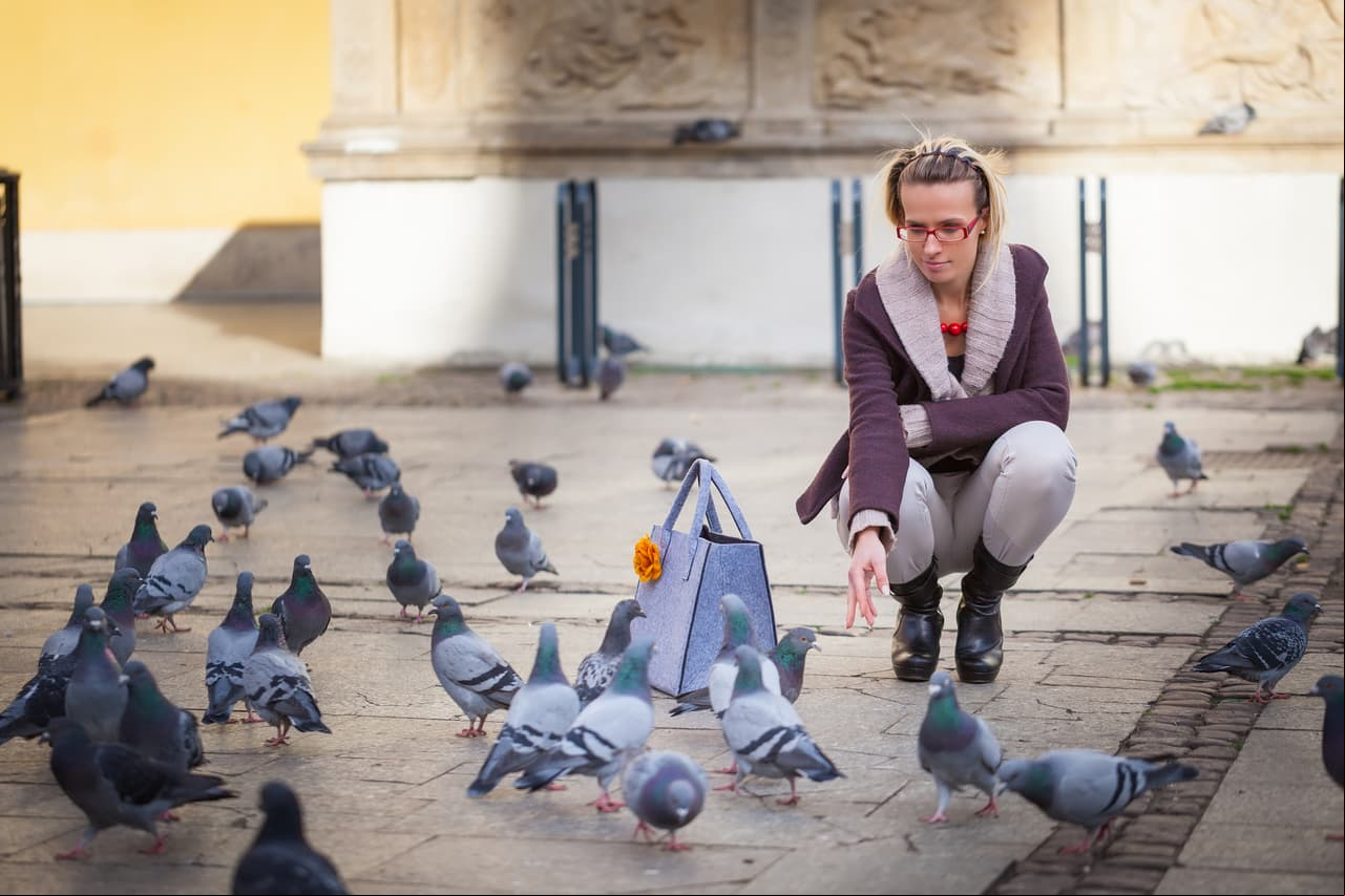 Alimenta a las aves, pues son las encargadas de traer buenas noticias.