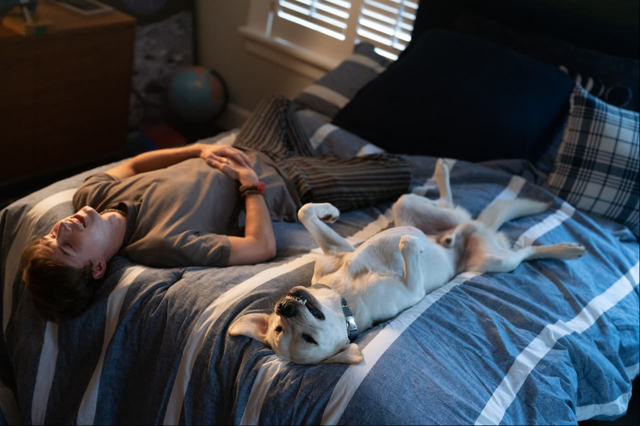 Dog Gone. Johnny Berchtold as Fielding in Dog Gone. Cr. Bob Mahoney/Netflix © 2022.