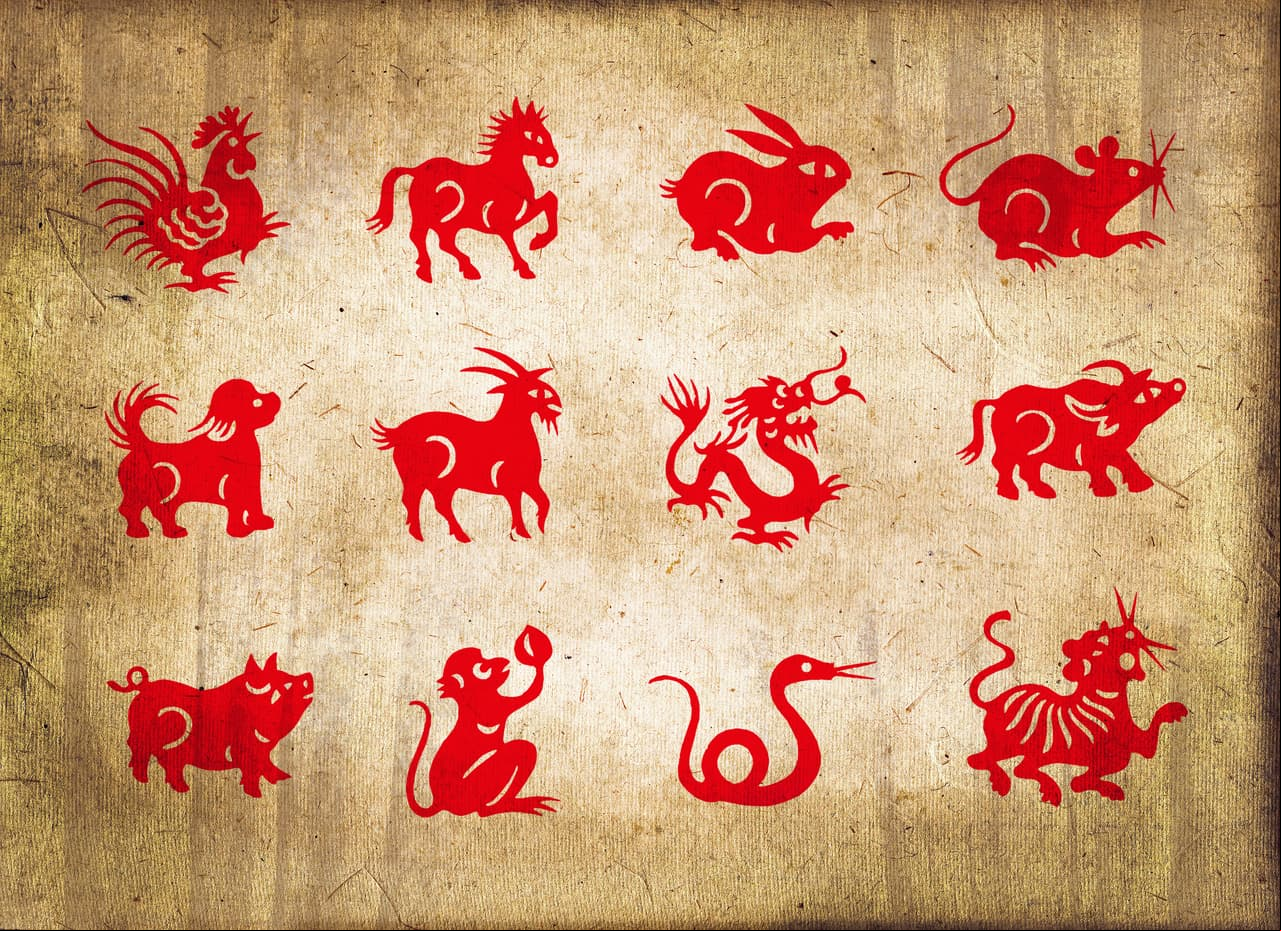 El horóscopo chino tiene 12 signos zodiacales, que corresponden a un animal en particular: Dragón, Serpiente, Perro, Gallo, Tigre, Rata, Conejo, Mono, Cabra, Buey, Cerdo y Caballo.