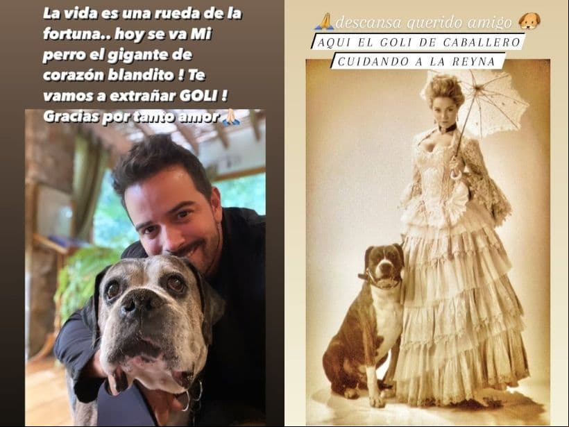Mane de la Parra se despidió de su perrito con conmovedoras fotografías