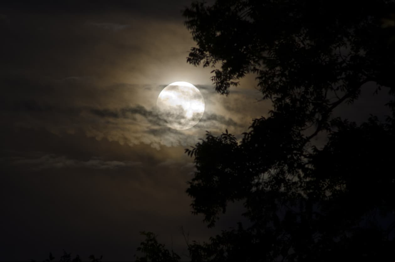 Rituales de purificación para hacer durante el eclipse lunar en Tauro
