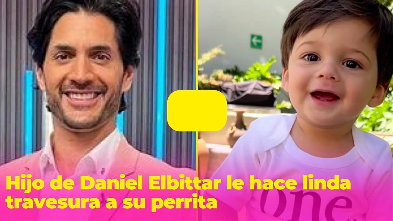 Hijo de Daniel Elbittar le 'roba' la cama a su perrita y sus fans no paran de reír