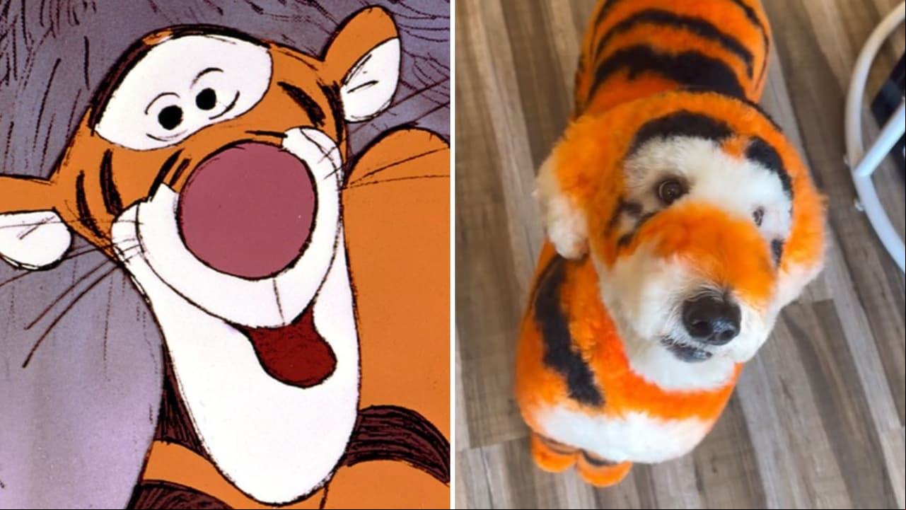 Hombre transforma a su perrito en Tigger de 'Winnie Pooh'