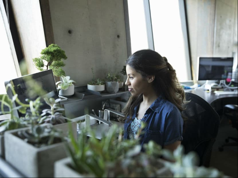 Lleva a tu trabajo una planta para llenarte de energía positiva