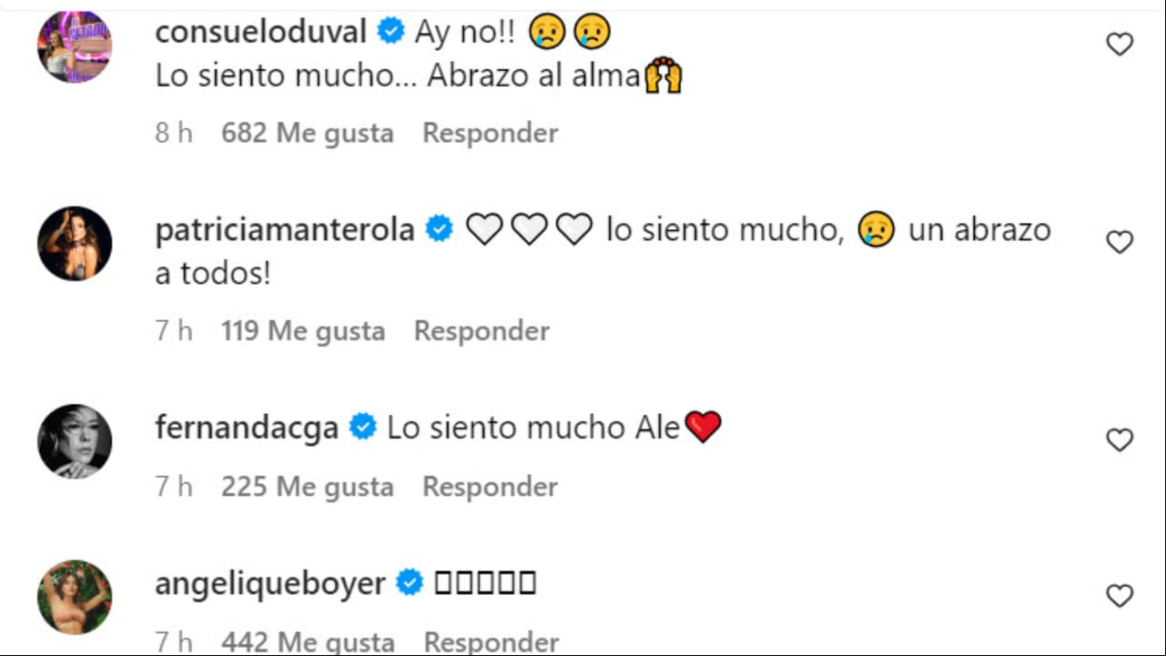 Varios famosos y famosas han expresado sus condolencias a Eugenio Derbez y Alessandra Rosaldo tras la muerte de Fiona.