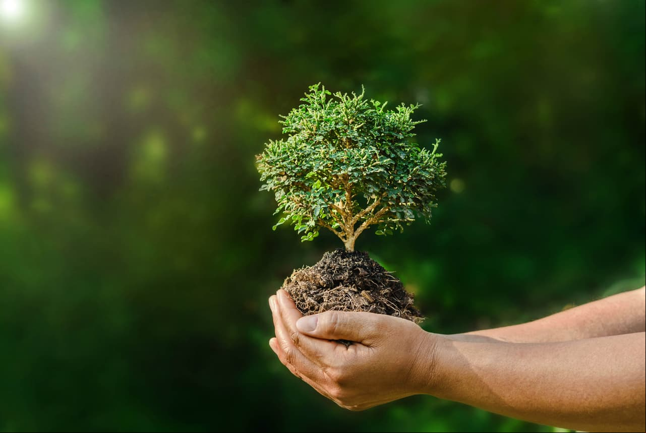 Cinco consejos para cuidar el medio ambiente